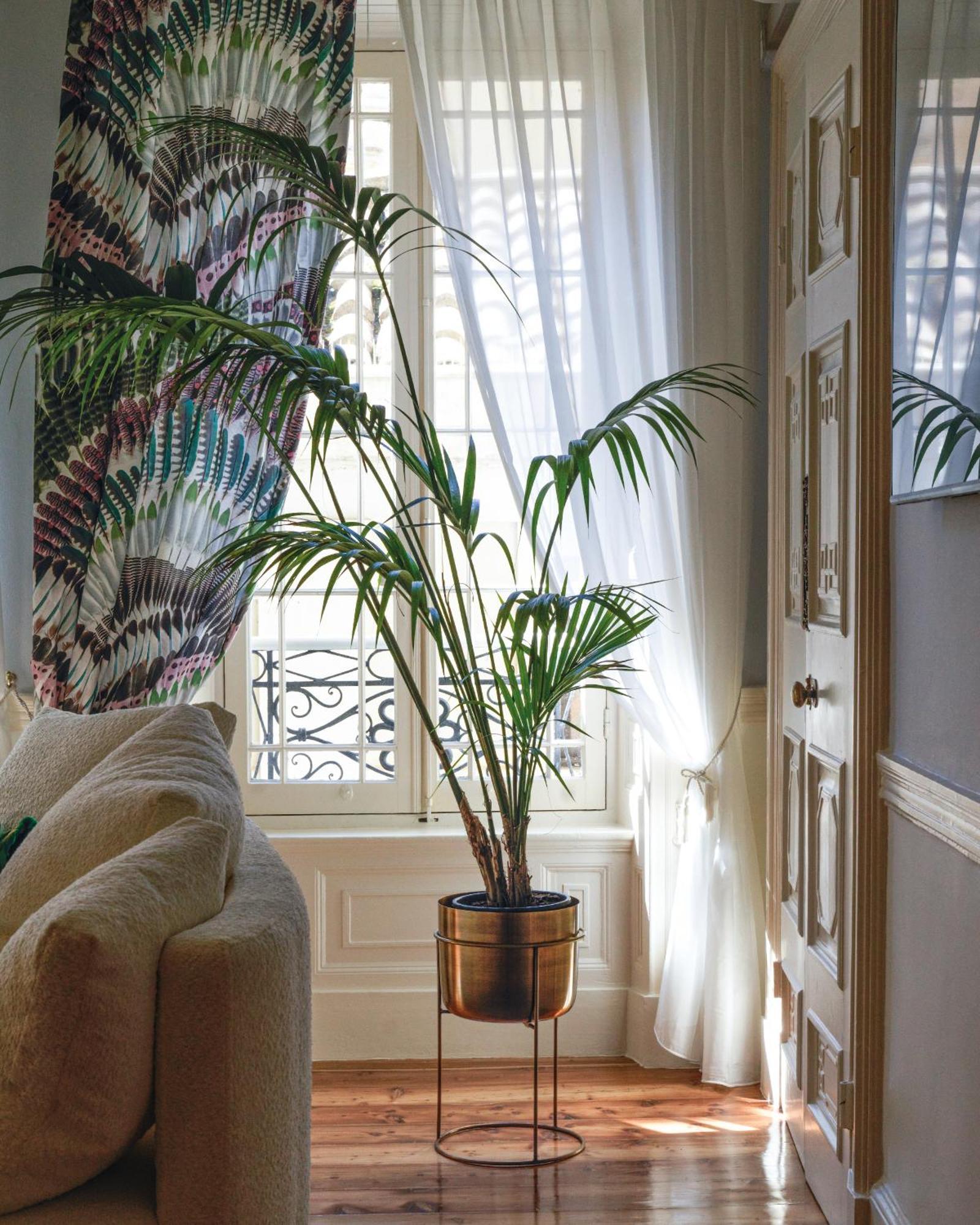 Apartment Mimi & Coco Old Corfu Town *